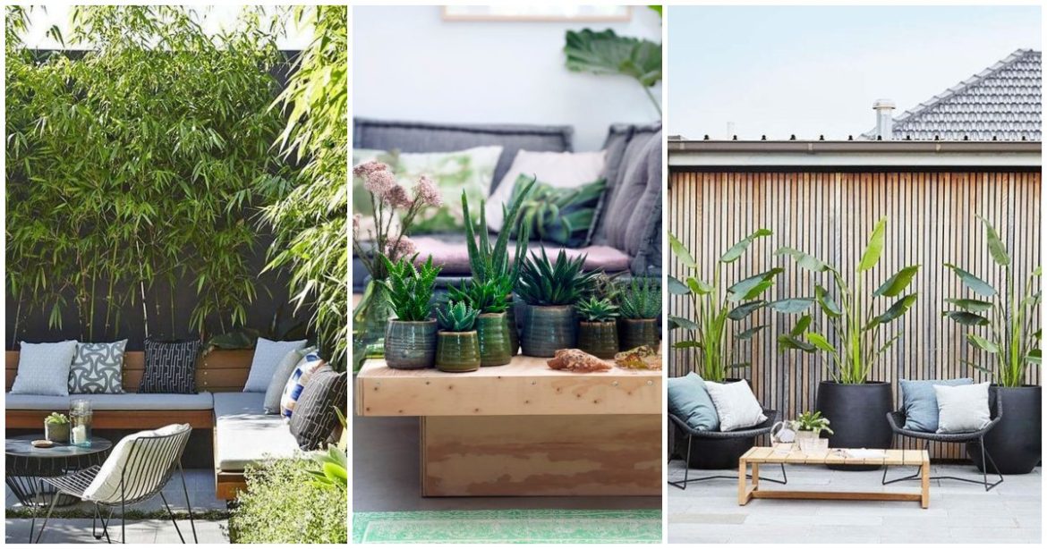 Cómo decorar una terraza con plantas y flores